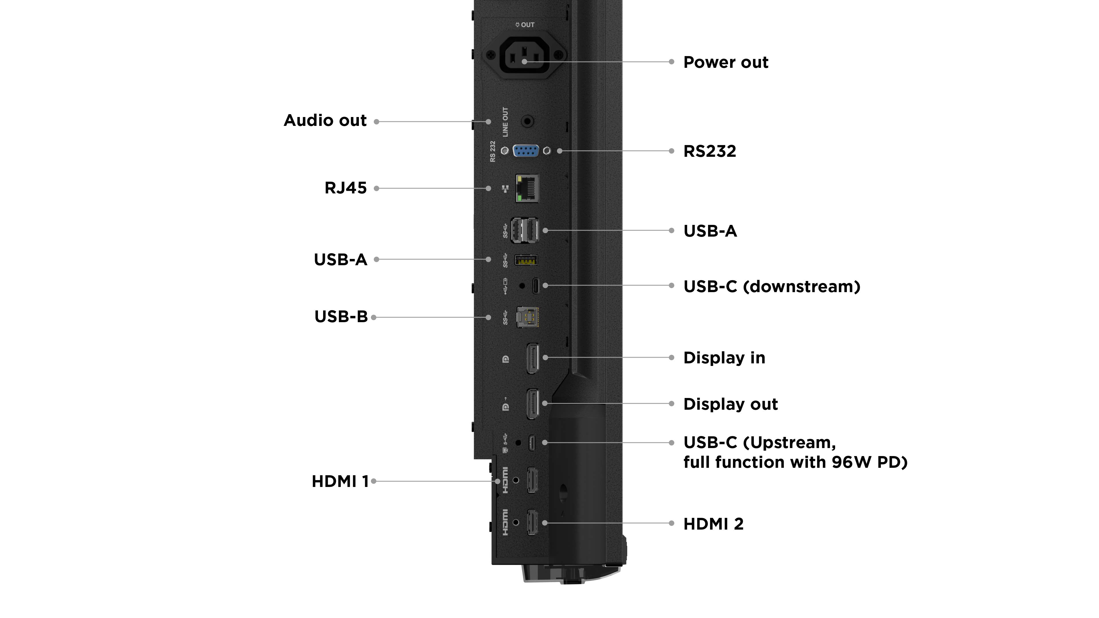 LF-Display Lenovo ThinkVision E55 (55-Zoll) UHD 4K