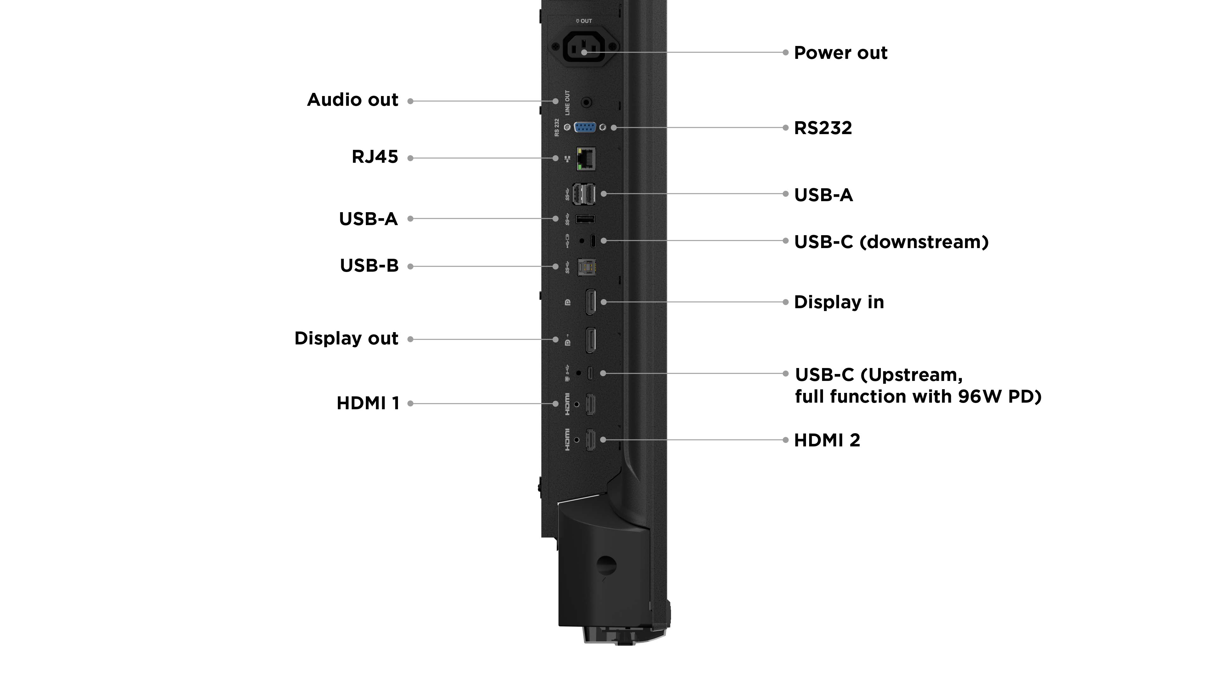LF-Display Lenovo ThinkVision E65 (65-Zoll) UHD 4K