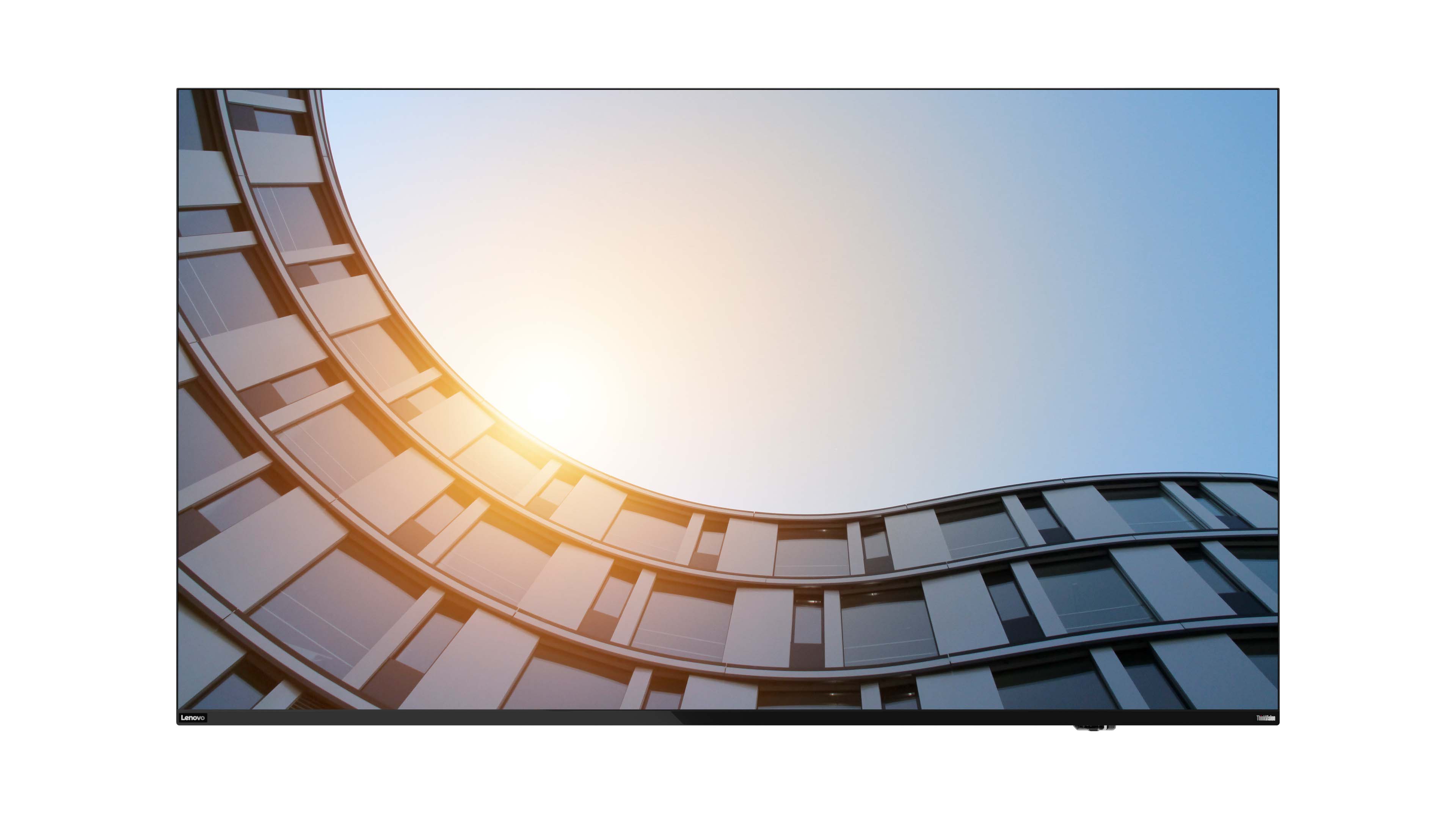 LF-Display Lenovo ThinkVision E65 (65-Zoll) UHD 4K