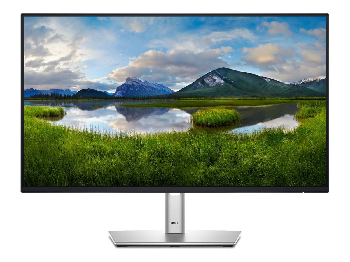 TFT-Monitor Dell Professional P2425H 60,5cm (23,8-Zoll) FHD