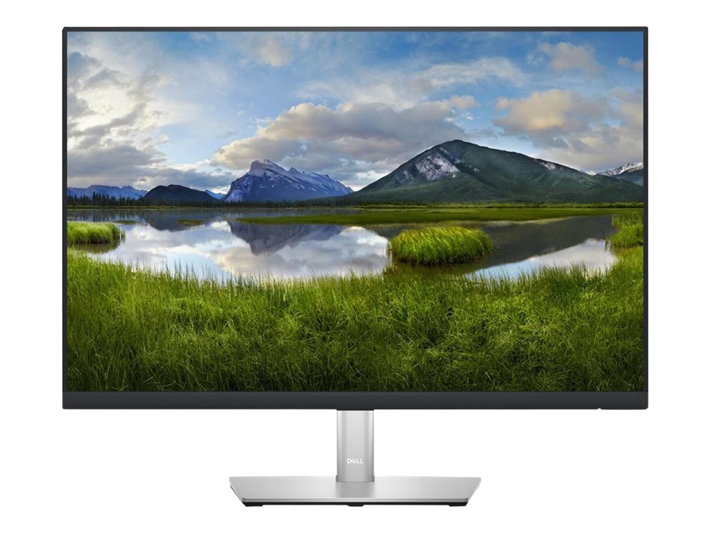 TFT-Monitor Dell Professional P2423 61,13cm(24,1-Zoll) WUXGA