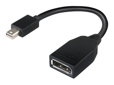 Adapter Lenovo DisplayPort mini-DP-m/DP-f 15cm schwarz